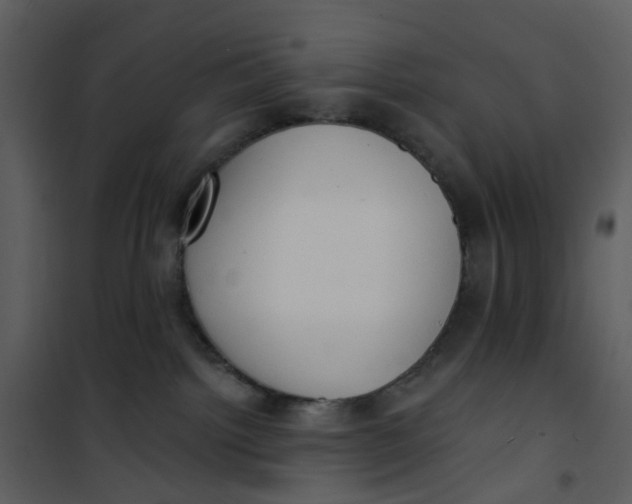 X0000101180092200807181458