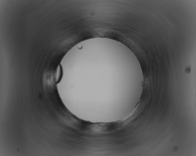 X0000101180094200807181458