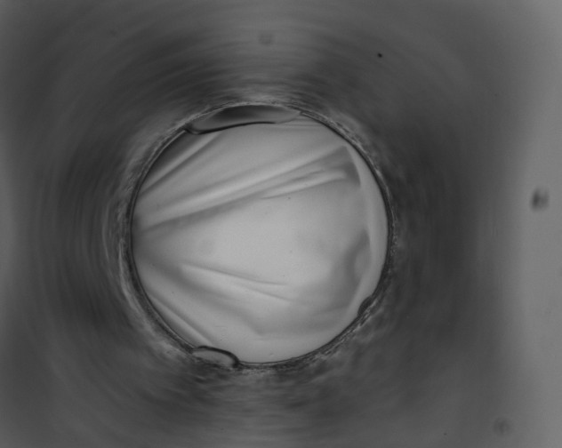 X0000101180097200807181457