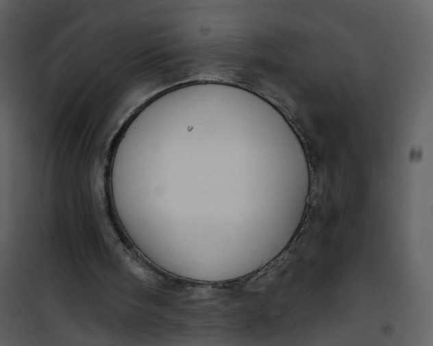 X0000101180098200807181457