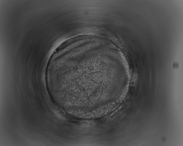 X0000101180099200807181457