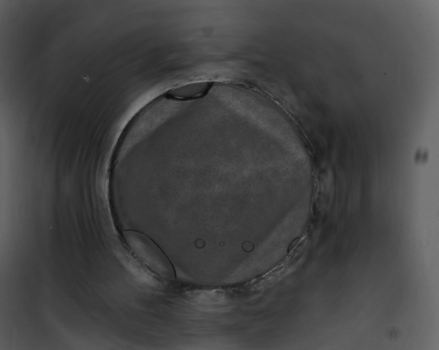 X0000101180100200807181457