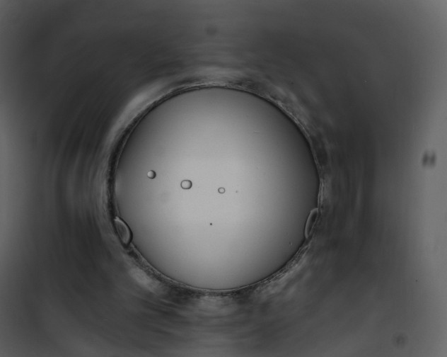 X0000101180101200807181457