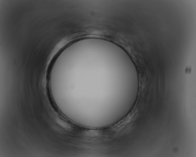 X0000101180102200807181457