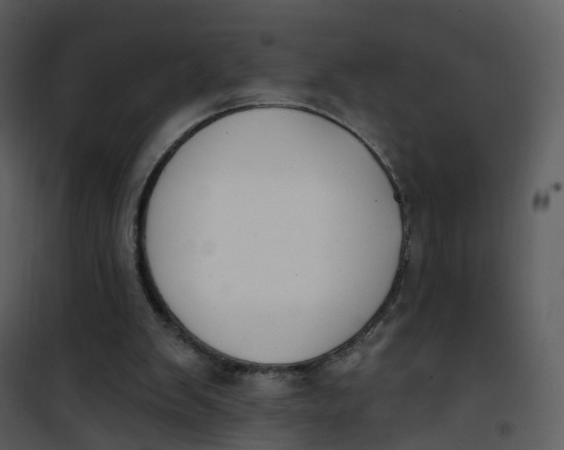 X0000101180103200807181457