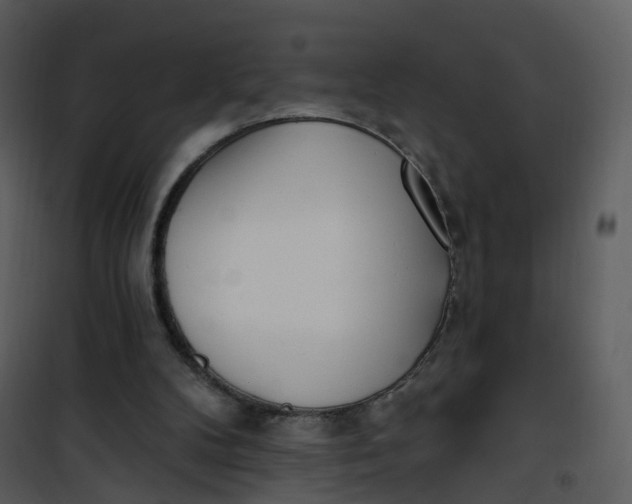 X0000101180104200807181457