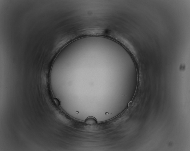 X0000101180105200807181457