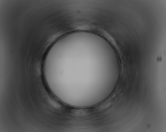 X0000101180106200807181457