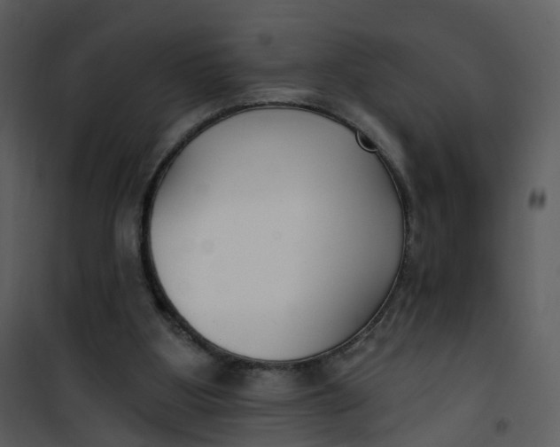 X0000101180107200807181457