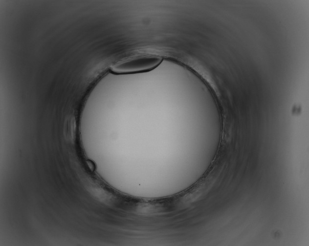 X0000101180109200807181457