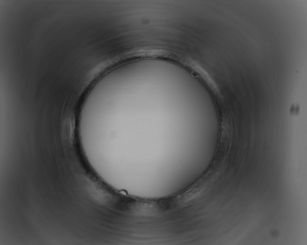 X0000101180110200807181457