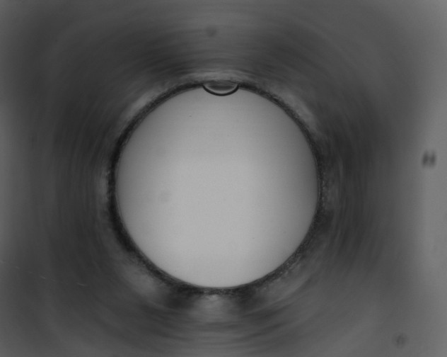 X0000101180111200807181457