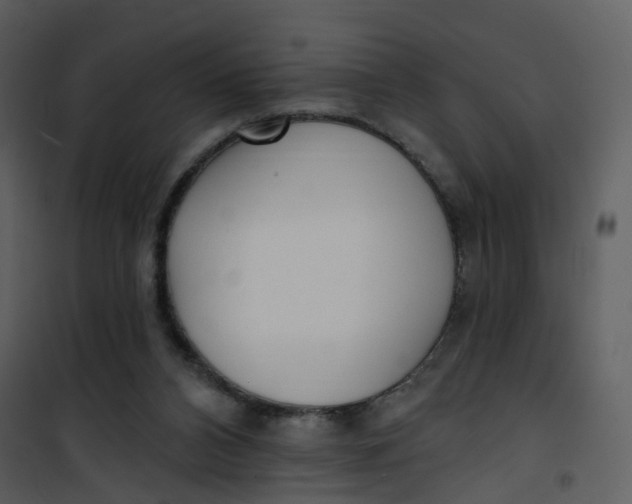 X0000101180112200807181457