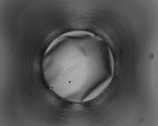 X0000101180114200807181457