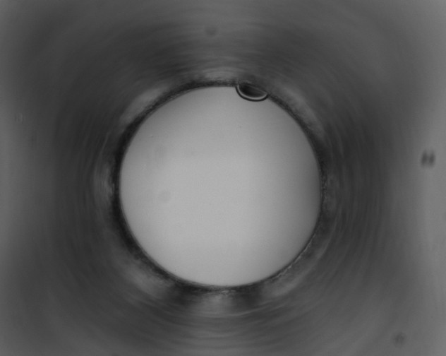 X0000101180116200807181457