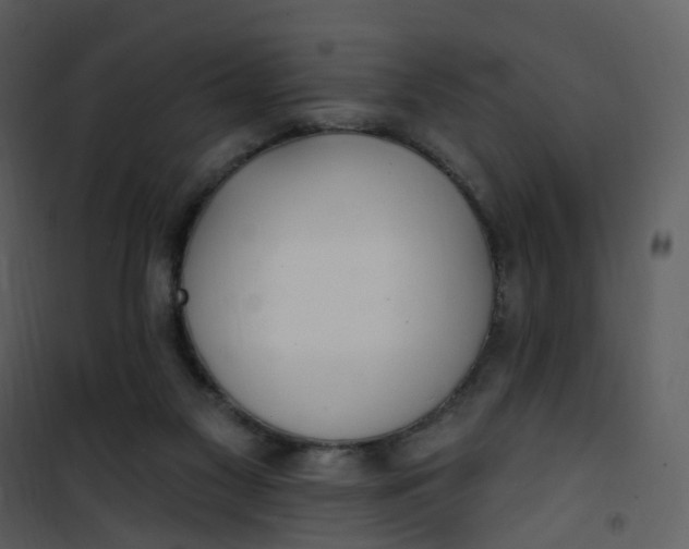 X0000101180117200807181457