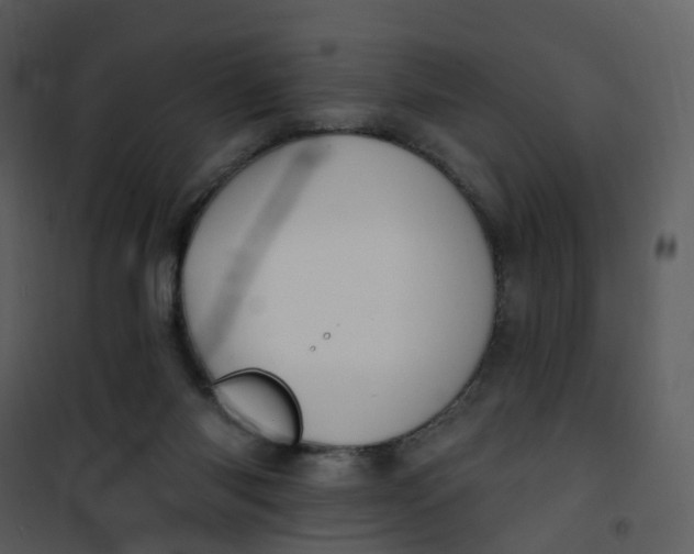 X0000101180118200807181457