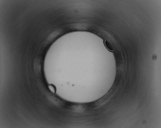 X0000101180120200807181457