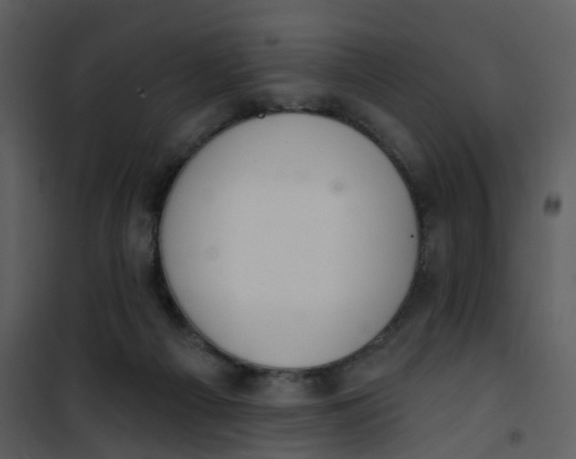 X0000101180121200807181457