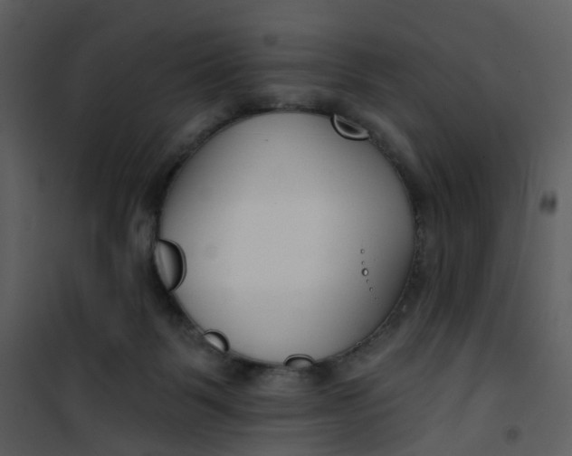 X0000101180123200807181457