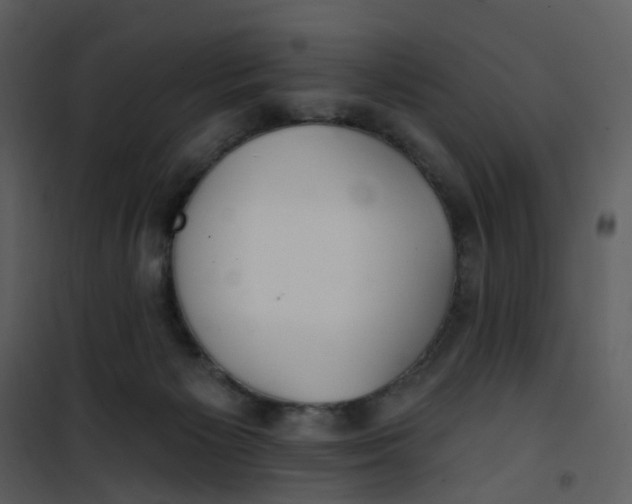 X0000101180125200807181457