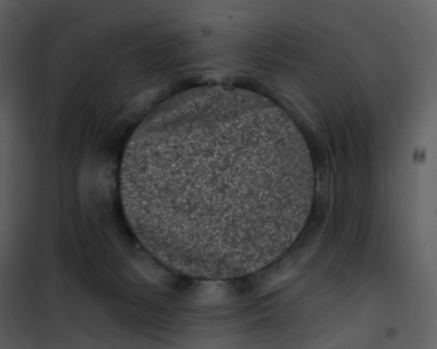 X0000101180127200807181457