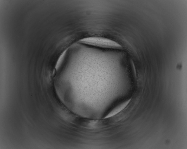 X0000101180130200807181457