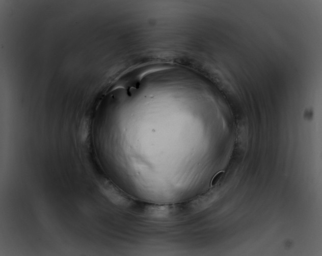 X0000101180131200807181457