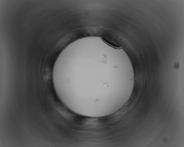 X0000101180132200807181456