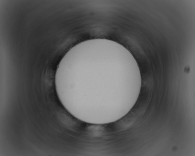 X0000101180133200807181456