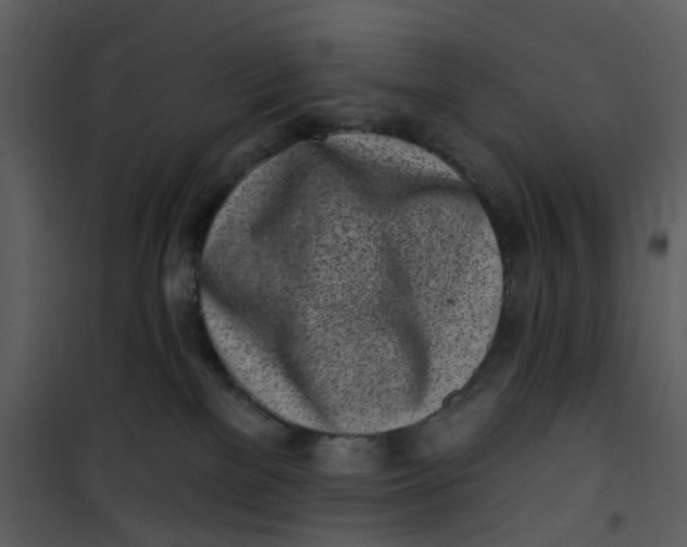 X0000101180137200807181456