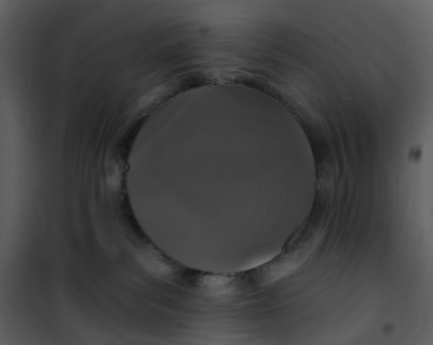 X0000101180139200807181456