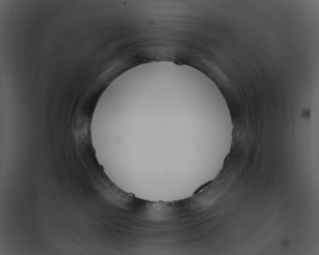 X0000101180141200807181456