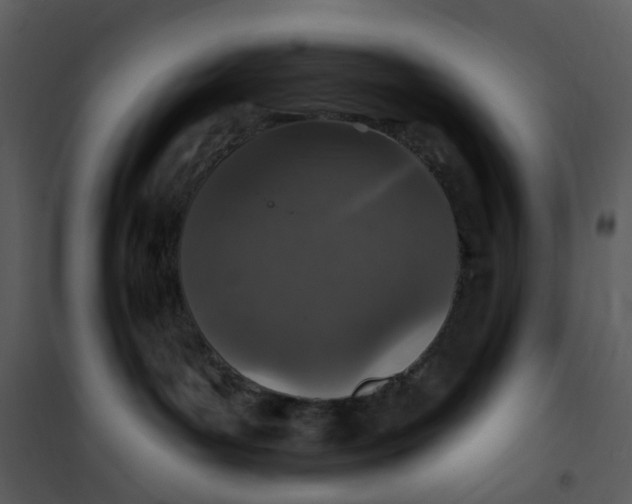 X0000101180143200807181456