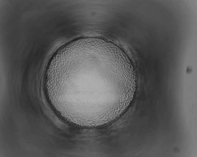 X0000101180145200807181456