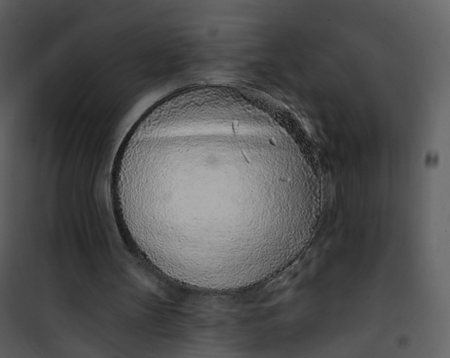 X0000101180147200807181456