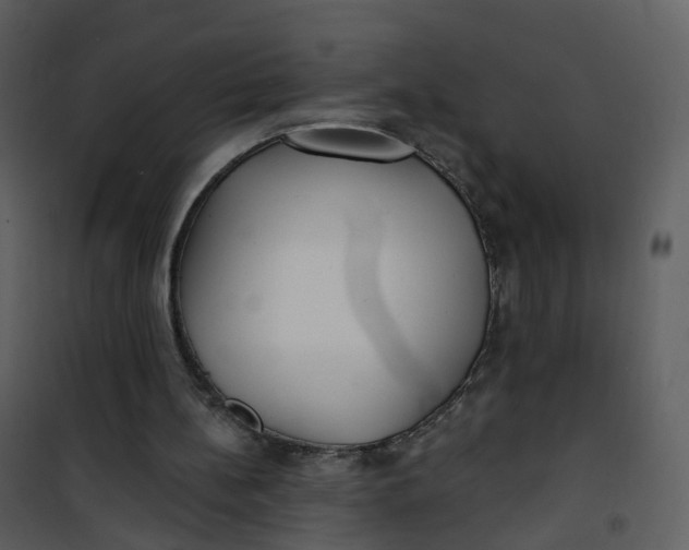 X0000101180148200807181456