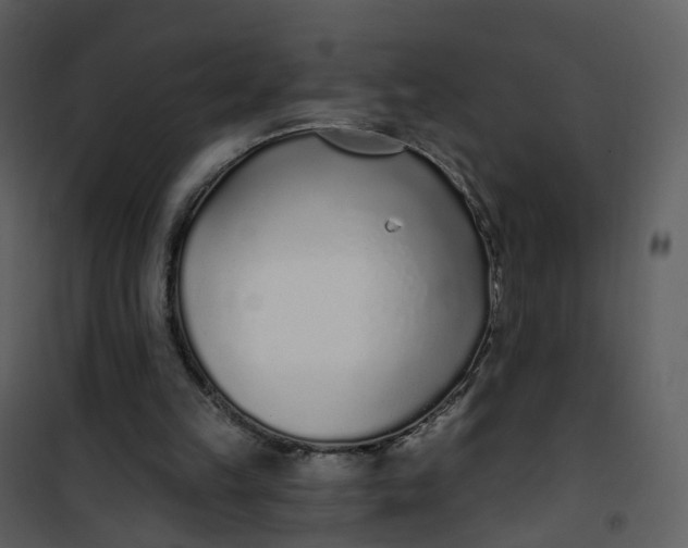 X0000101180149200807181456