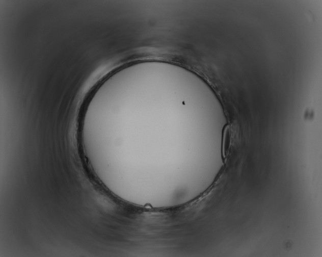 X0000101180150200807181456