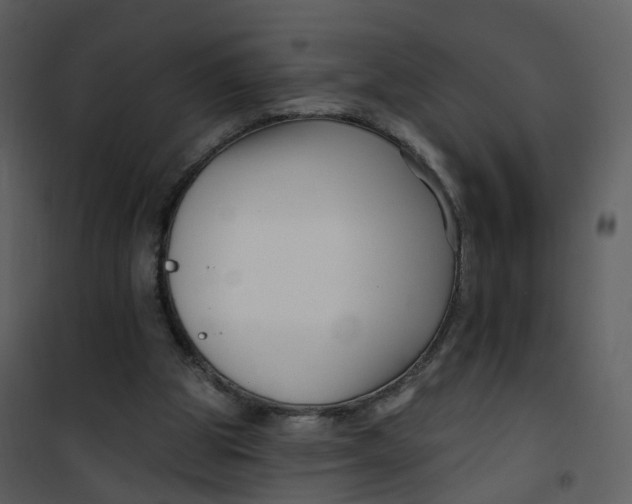 X0000101180153200807181456