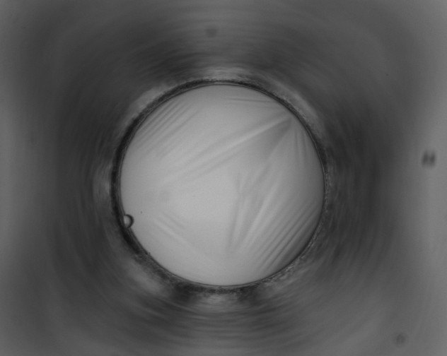 X0000101180155200807181456