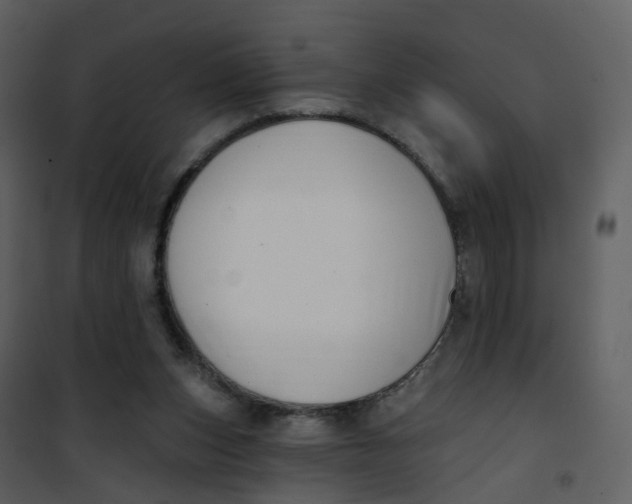 X0000101180159200807181456