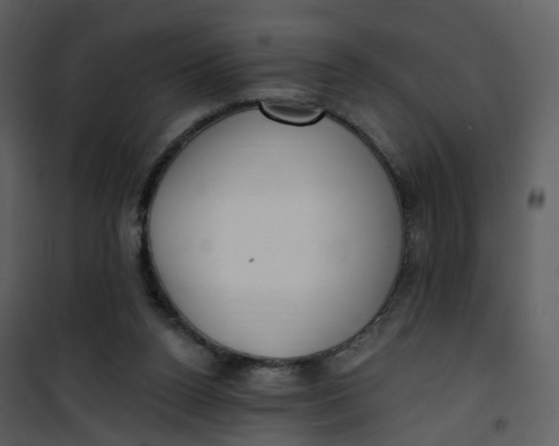 X0000101180160200807181456