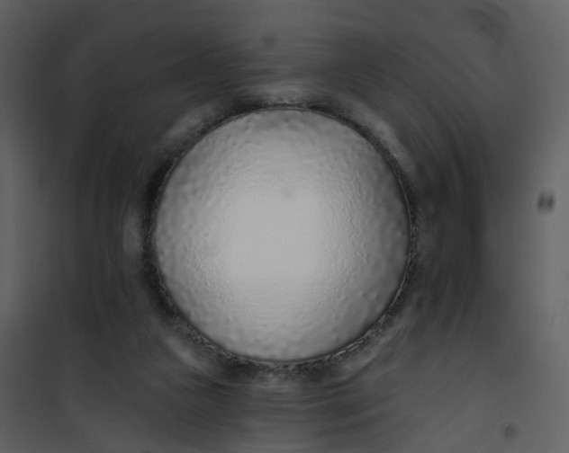 X0000101180161200807181456