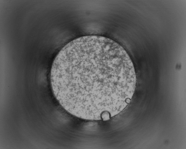 X0000101180162200807181456