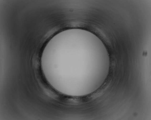 X0000101180164200807181456