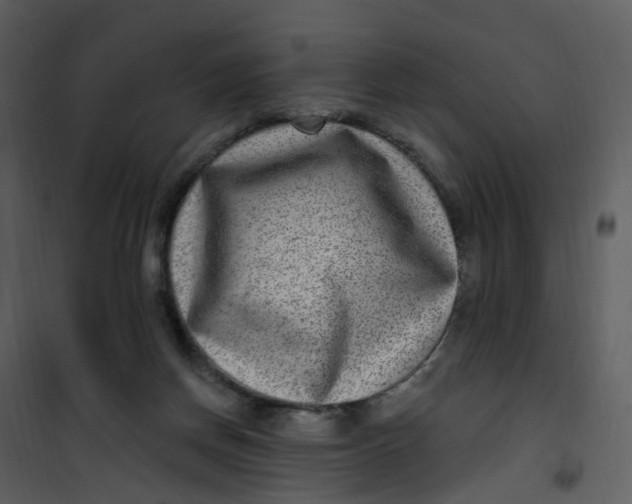 X0000101180166200807181456