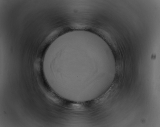 X0000101180167200807181456