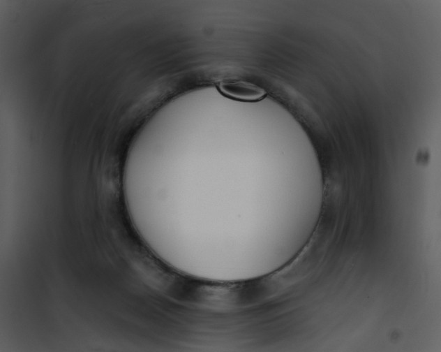 X0000101180170200807181456