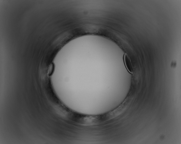 X0000101180172200807181456